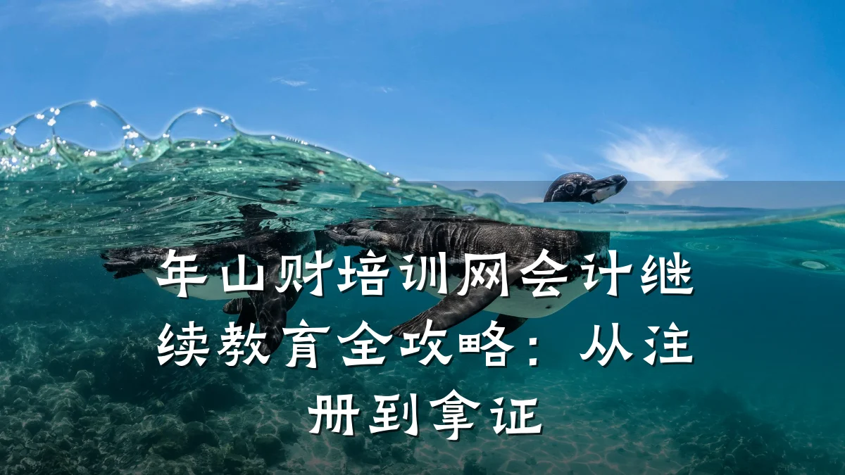 年山财培训网会计继续教育全攻略:从注册到拿证