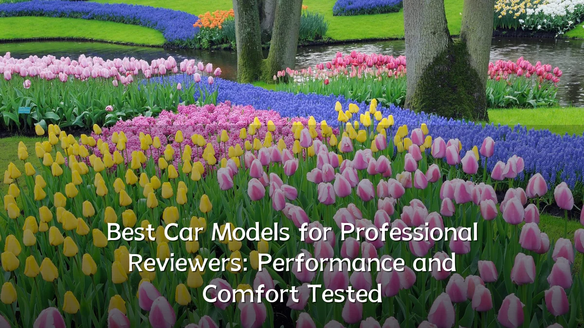 Best Car Models for Professional Reviewers: Performance and Comfort Tested