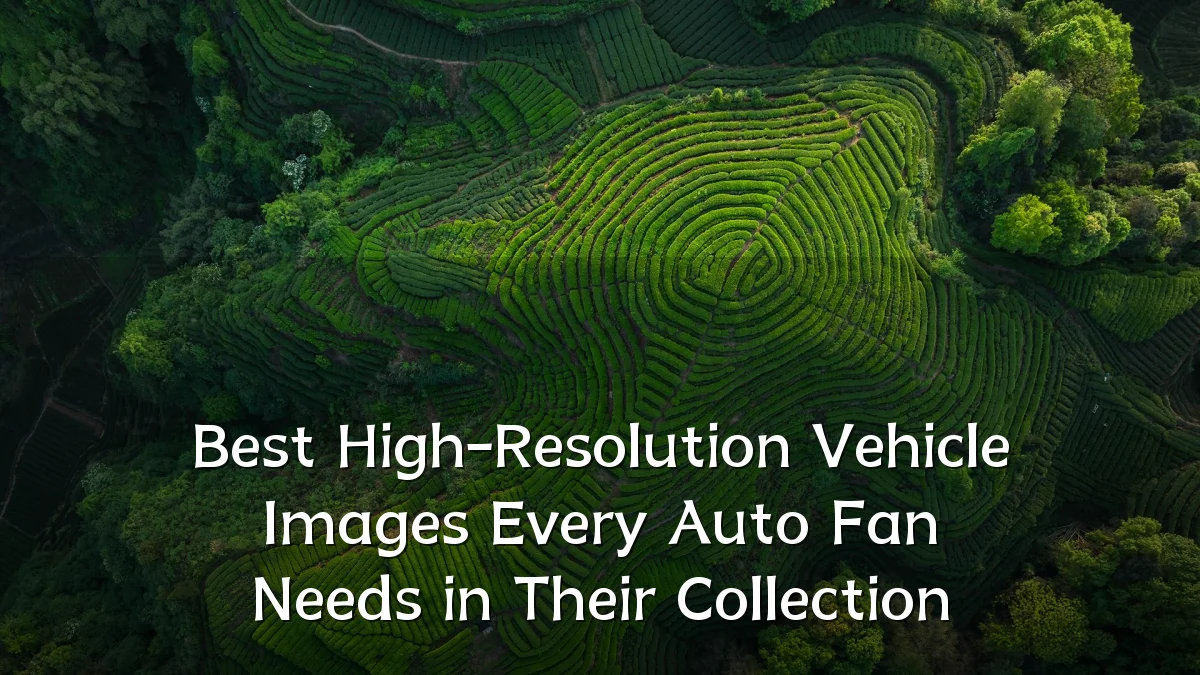 Best High-Resolution Vehicle Images Every Auto Fan Needs in Their Collection