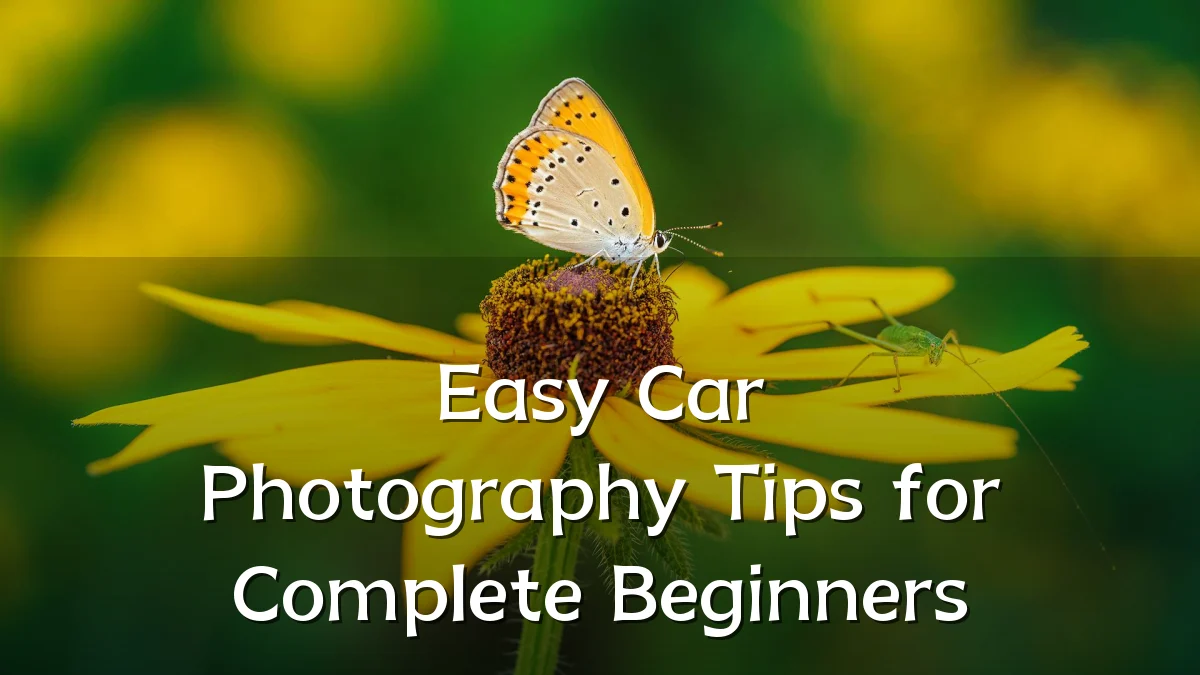 Easy Car Photography Tips for Complete Beginners