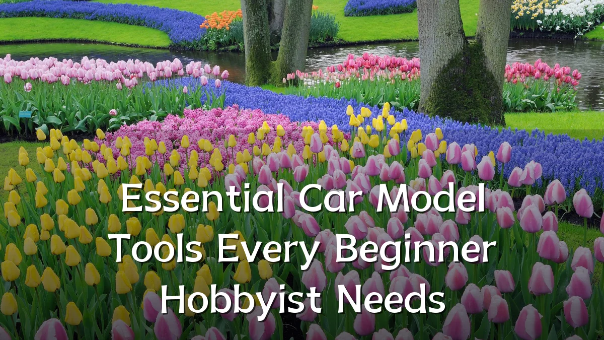 Essential Car Model Tools Every Beginner Hobbyist Needs