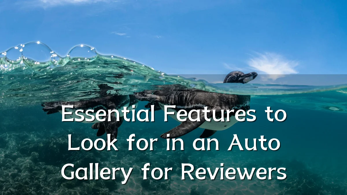 Essential Features to Look for in an Auto Gallery for Reviewers
