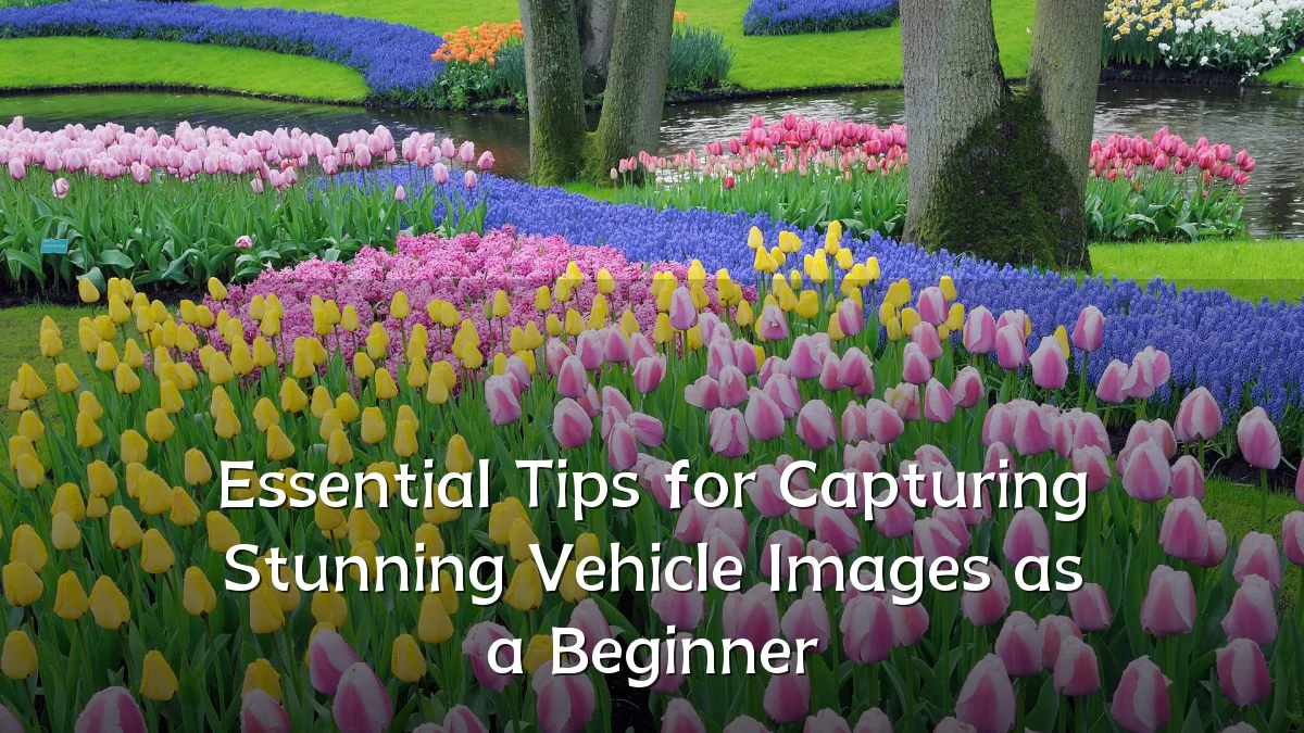 Essential Tips for Capturing Stunning Vehicle Images as a Beginner
