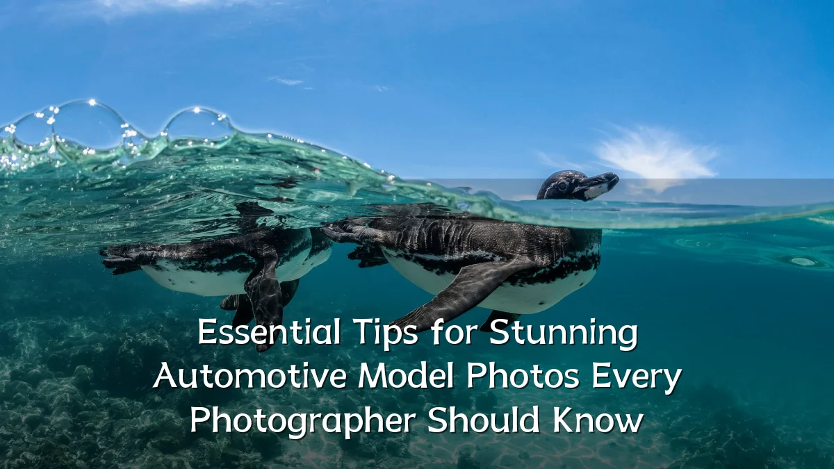 Essential Tips for Stunning Automotive Model Photos Every Photographer Should Know