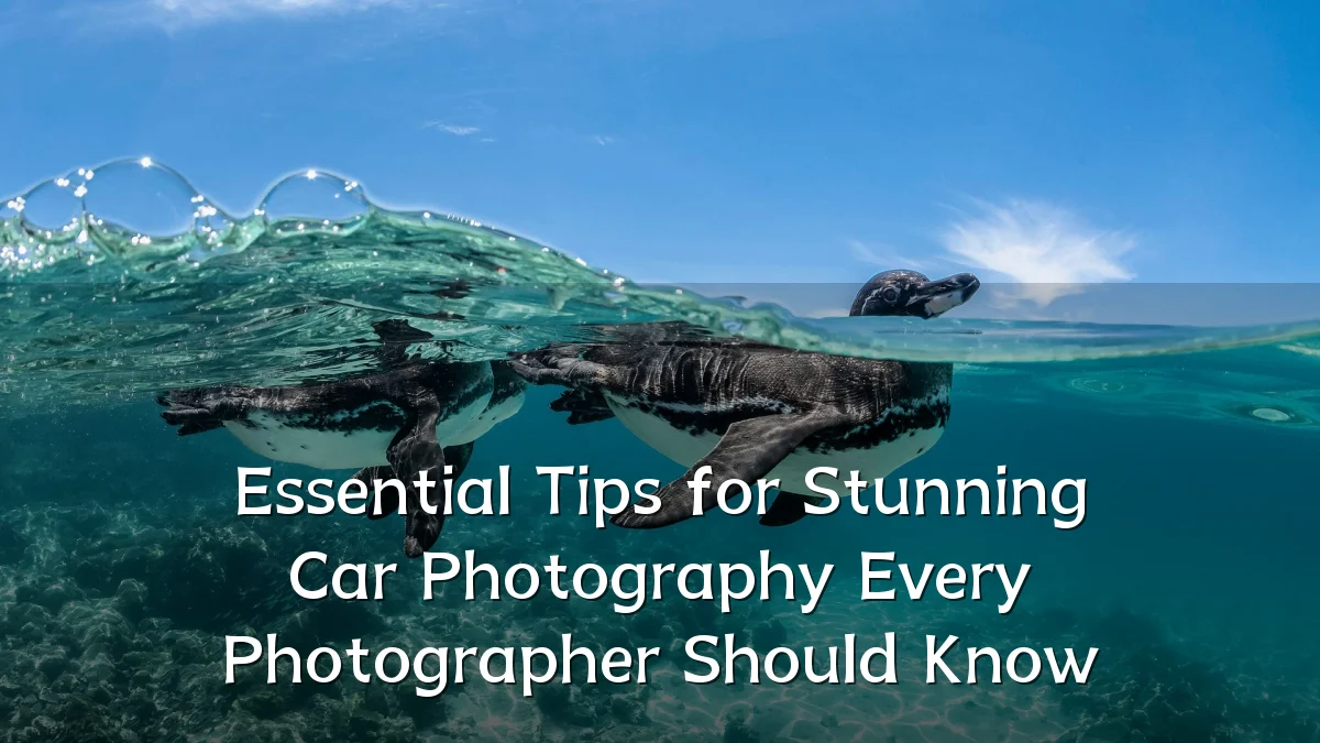 Essential Tips for Stunning Car Photography Every Photographer Should Know