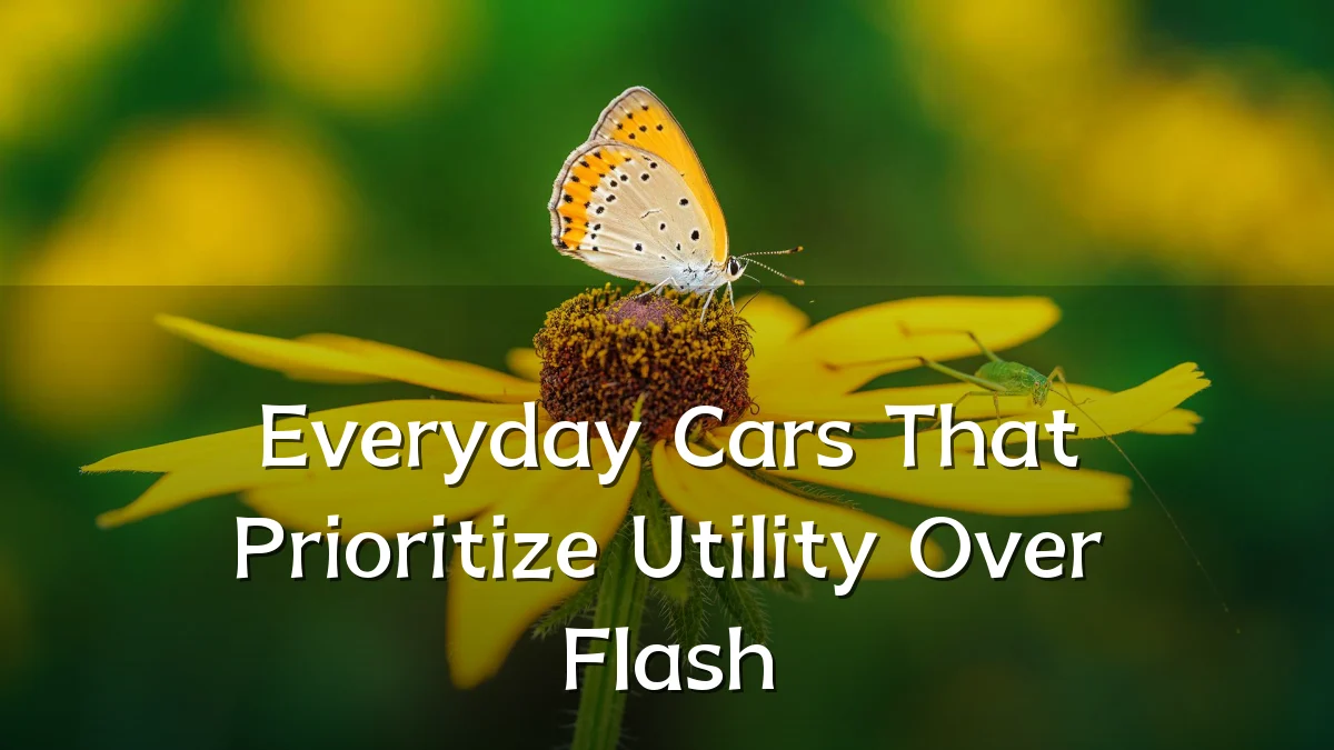 Everyday Cars That Prioritize Utility Over Flash
