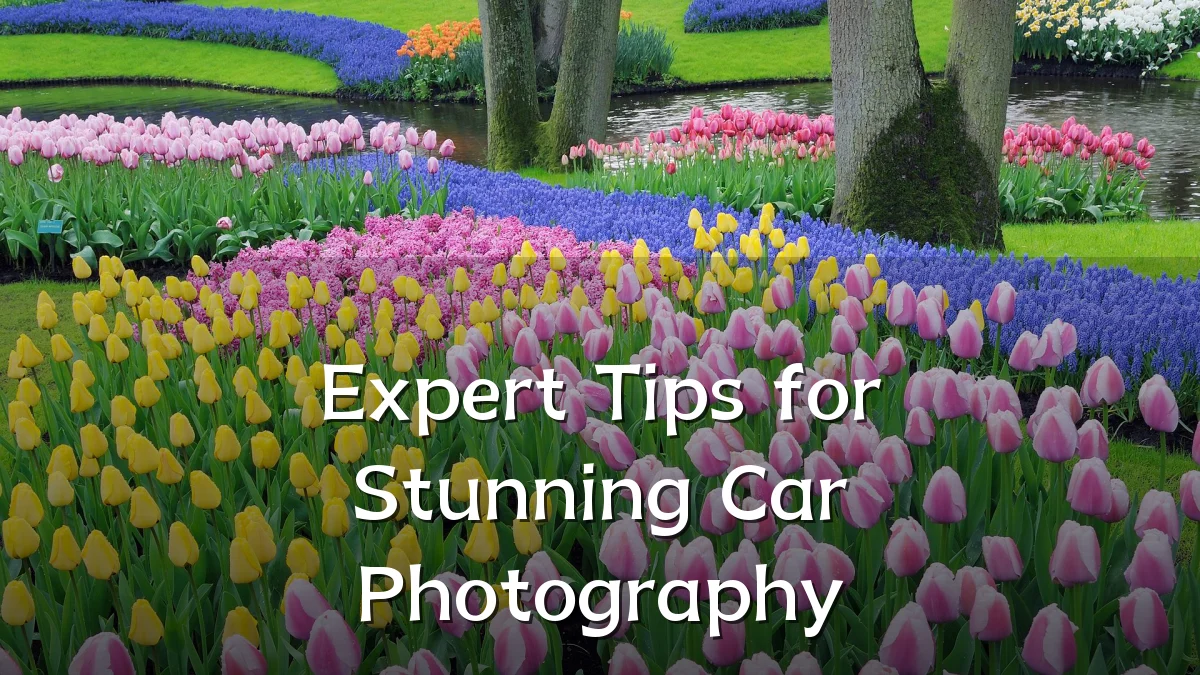 Expert Tips for Stunning Car Photography