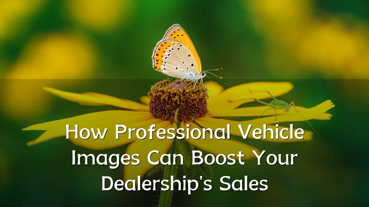 How Professional Vehicle Images Can Boost Your Dealership's Sales