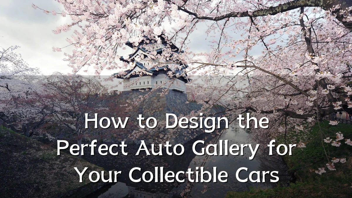 How to Design the Perfect Auto Gallery for Your Collectible Cars