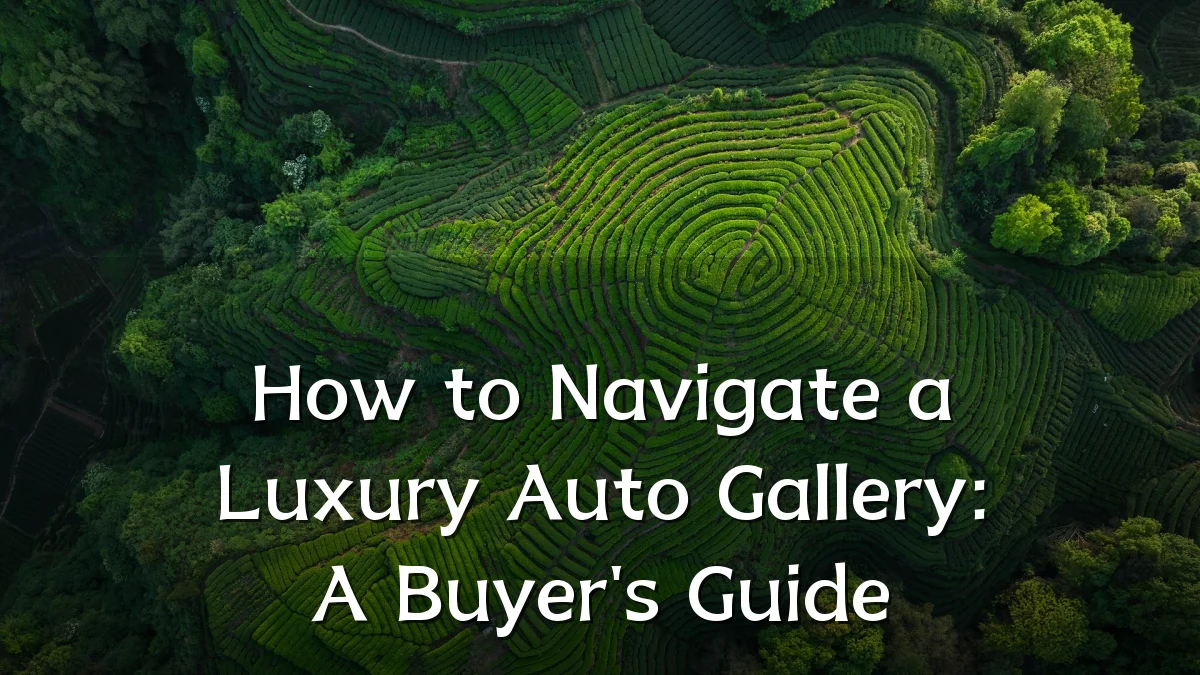 How to Navigate a Luxury Auto Gallery: A Buyer's Guide