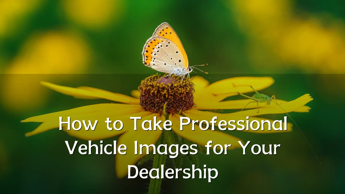 How to Take Professional Vehicle Images for Your Dealership