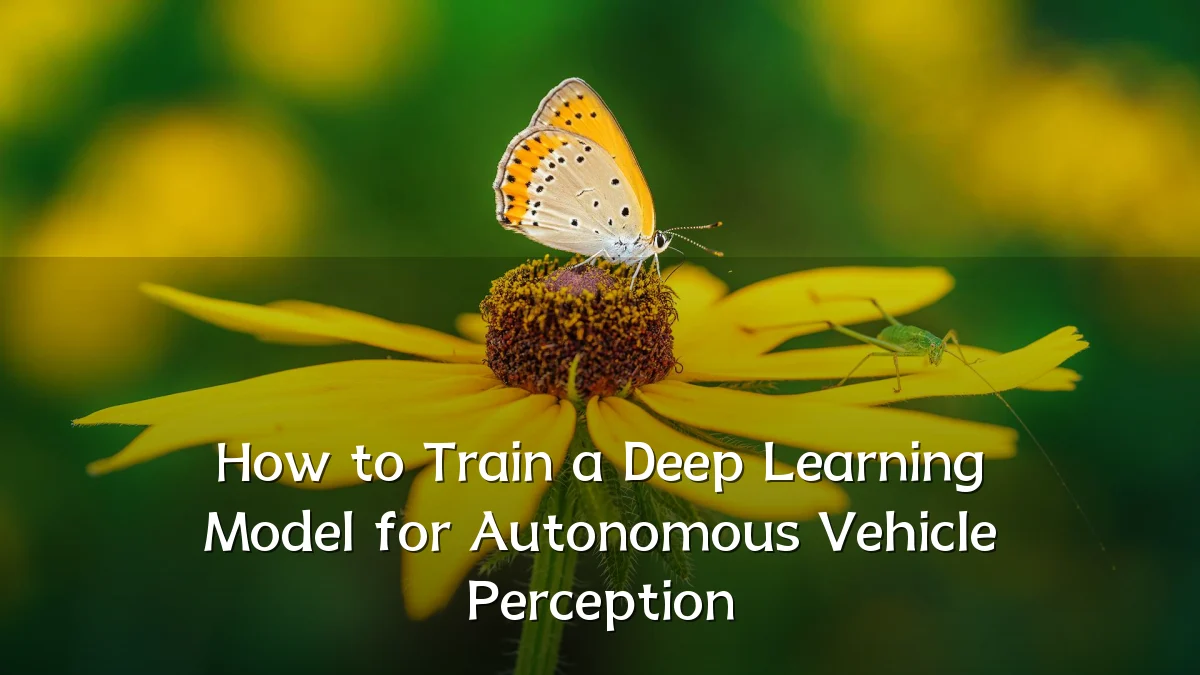 How to Train a Deep Learning Model for Autonomous Vehicle Perception