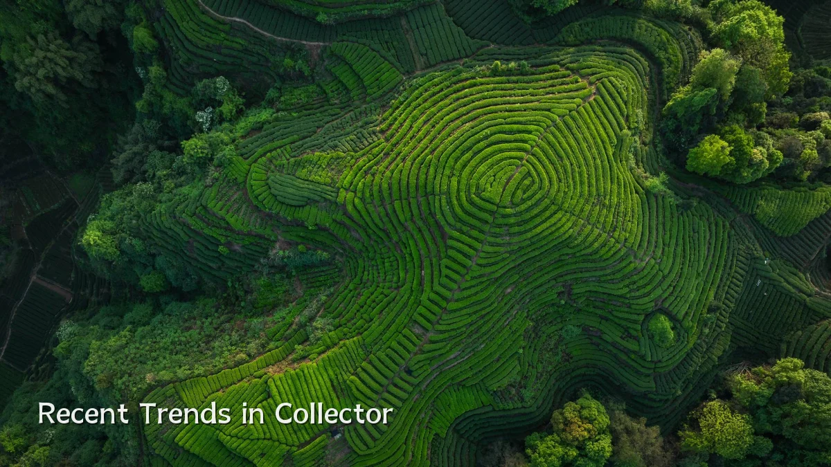 Recent Trends in Collector