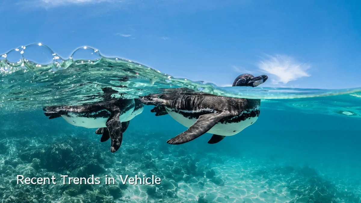 Recent Trends in Vehicle