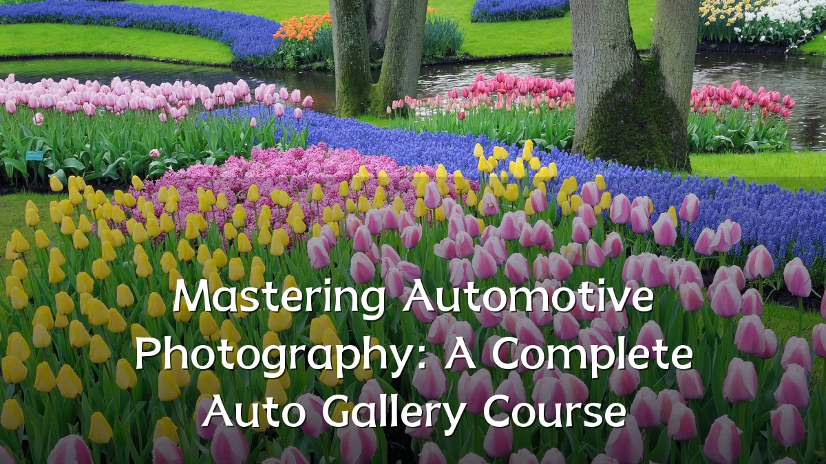 Mastering Automotive Photography: A Complete Auto Gallery Course