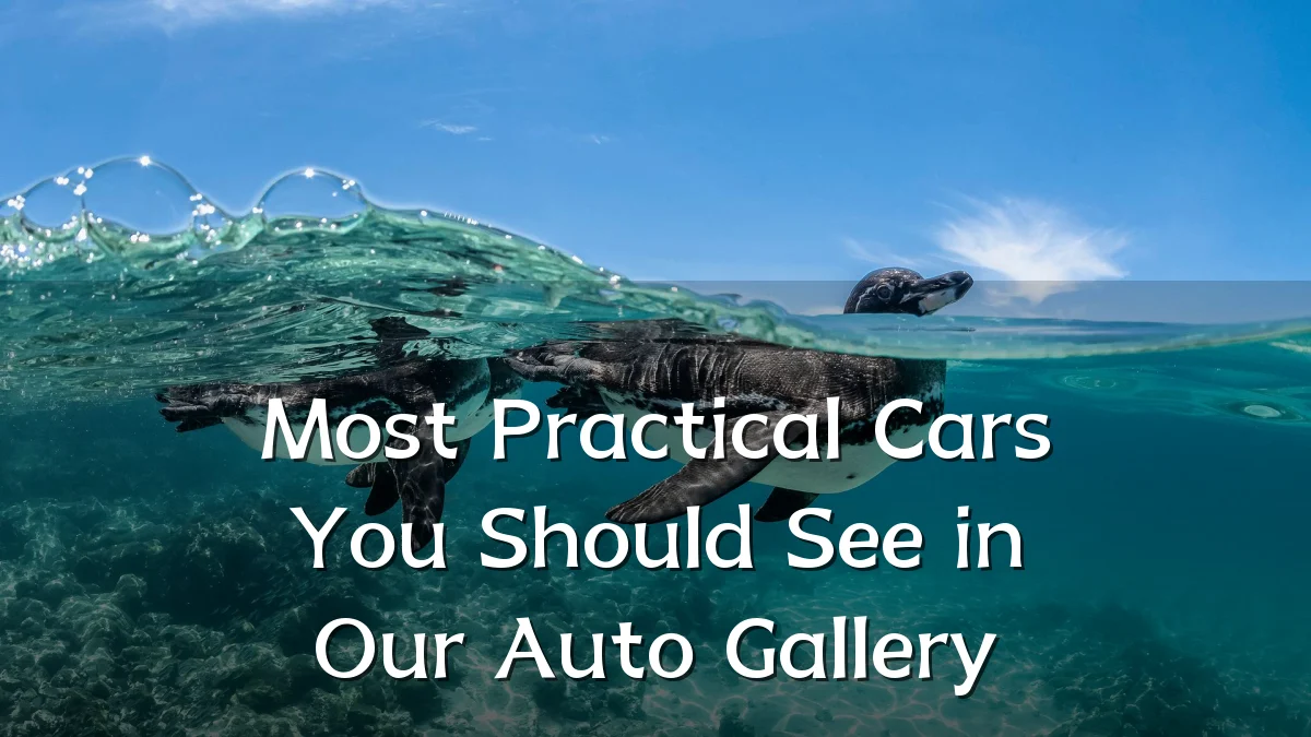 Most Practical Cars You Should See in Our Auto Gallery