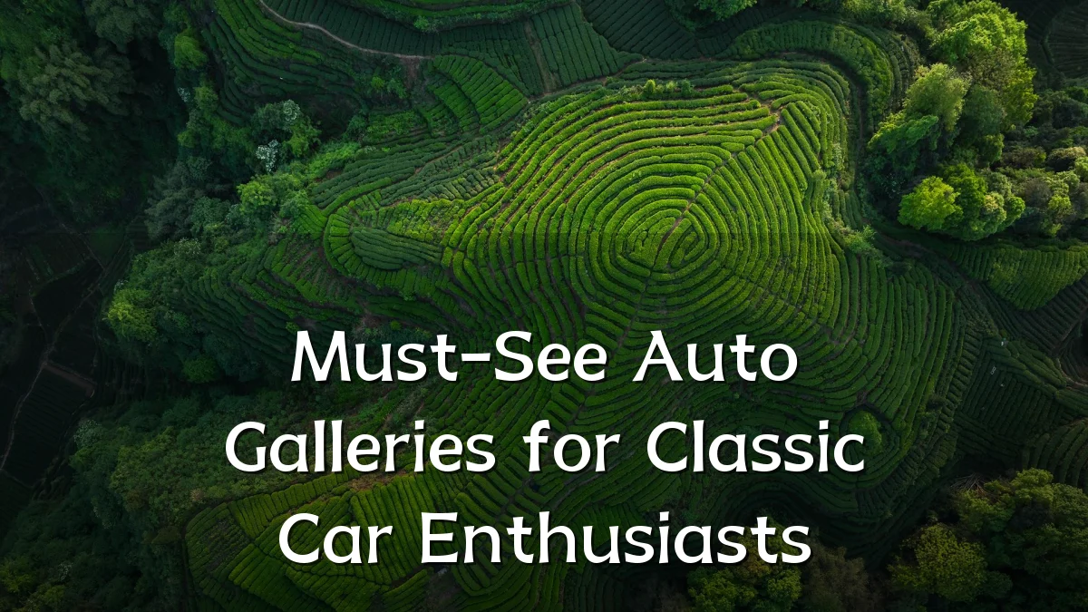Must-See Auto Galleries for Classic Car Enthusiasts