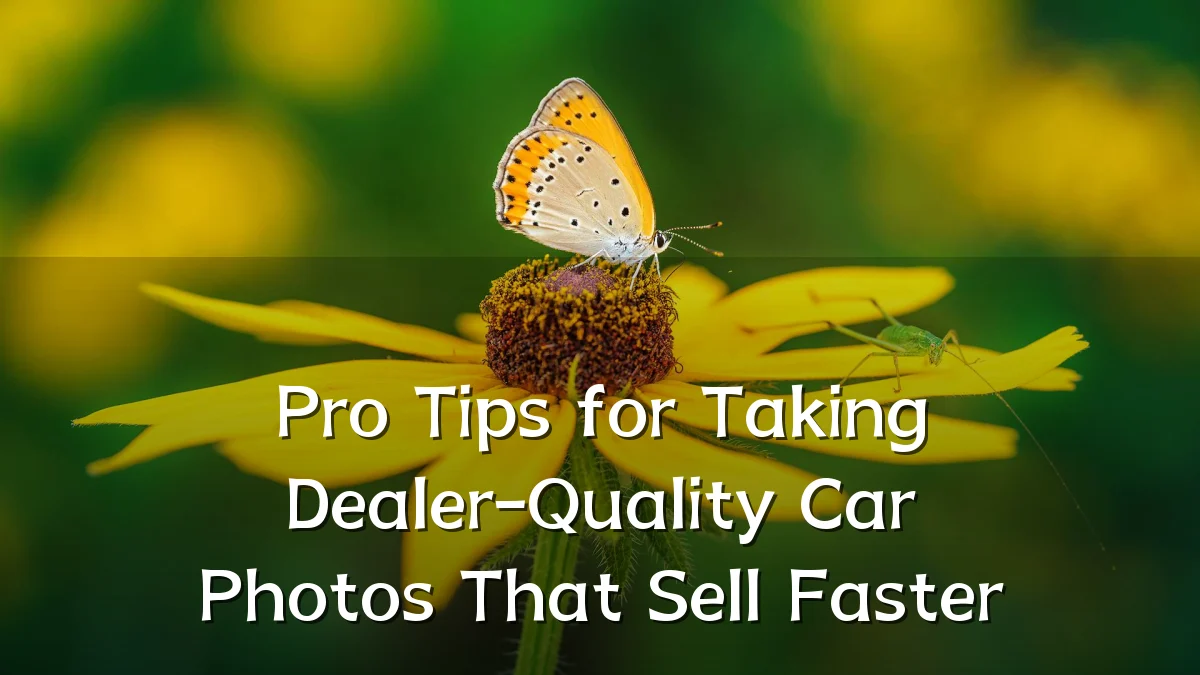 Pro Tips for Taking Dealer-Quality Car Photos That Sell Faster