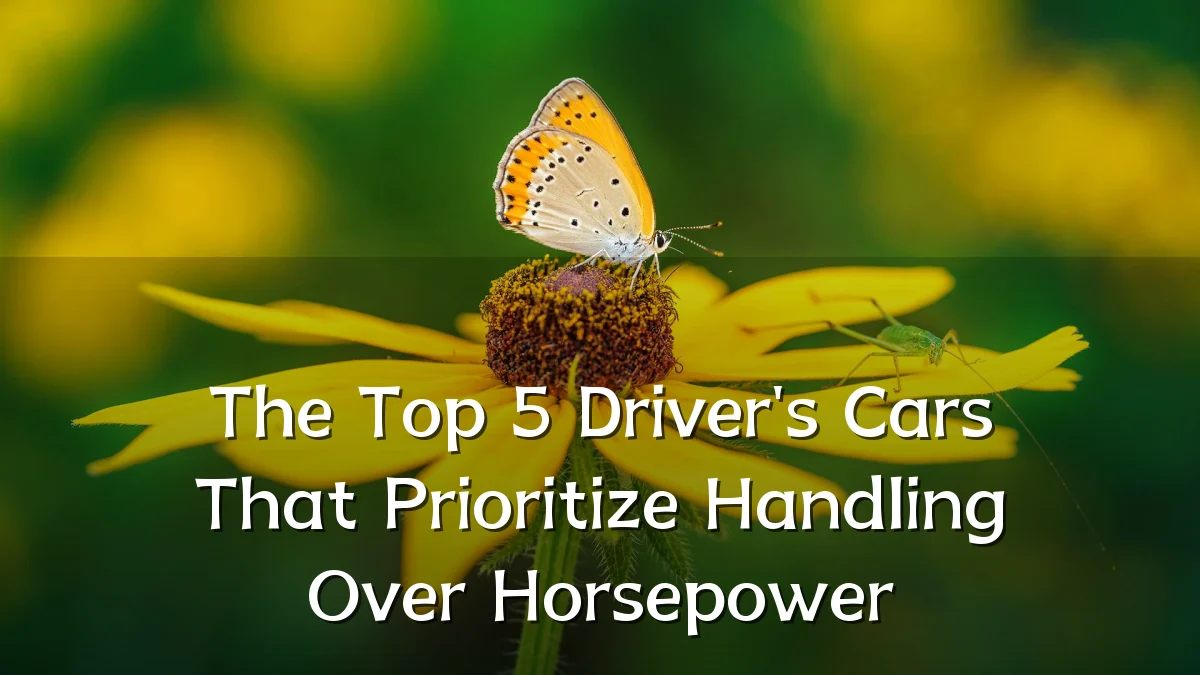 The Top 5 Driver's Cars That Prioritize Handling Over Horsepower