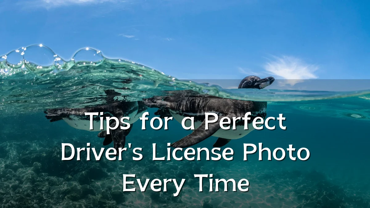 Tips for a Perfect Driver's License Photo Every Time