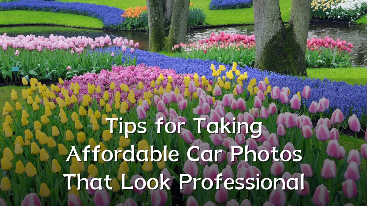 Tips for Taking Affordable Car Photos That Look Professional
