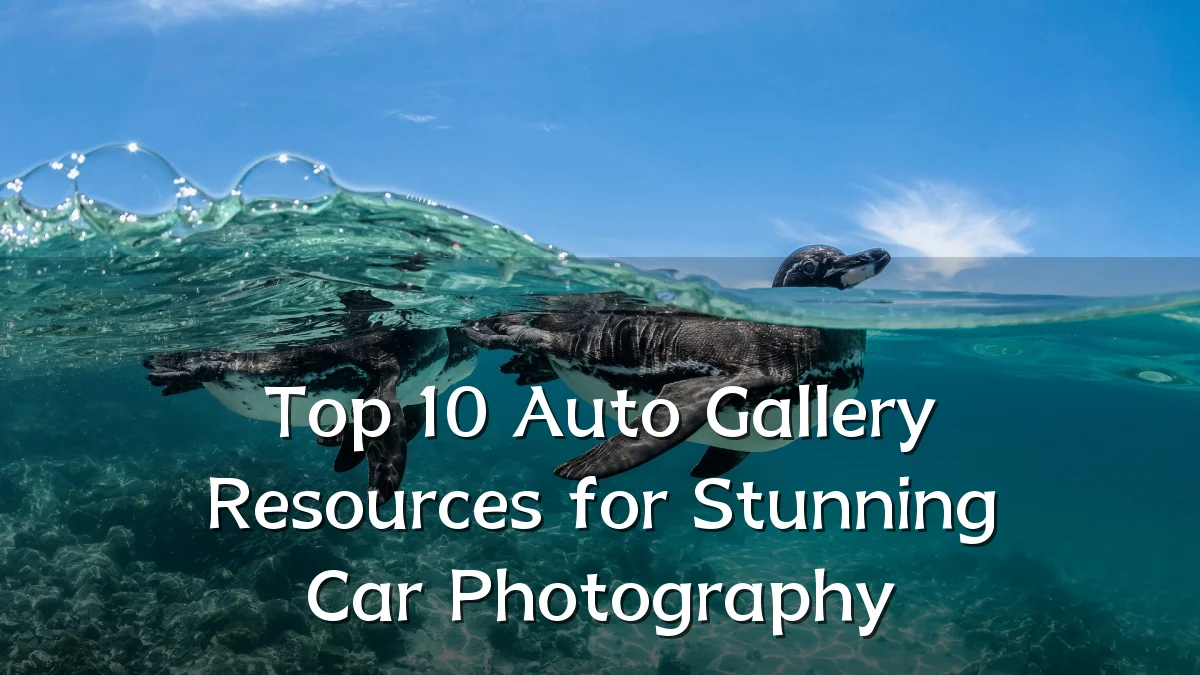 Top 10 Auto Gallery Resources for Stunning Car Photography