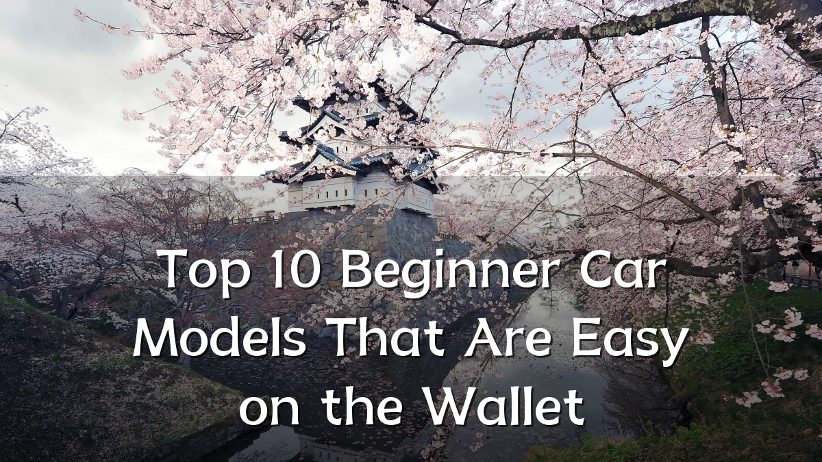 Top 10 Beginner Car Models That Are Easy on the Wallet