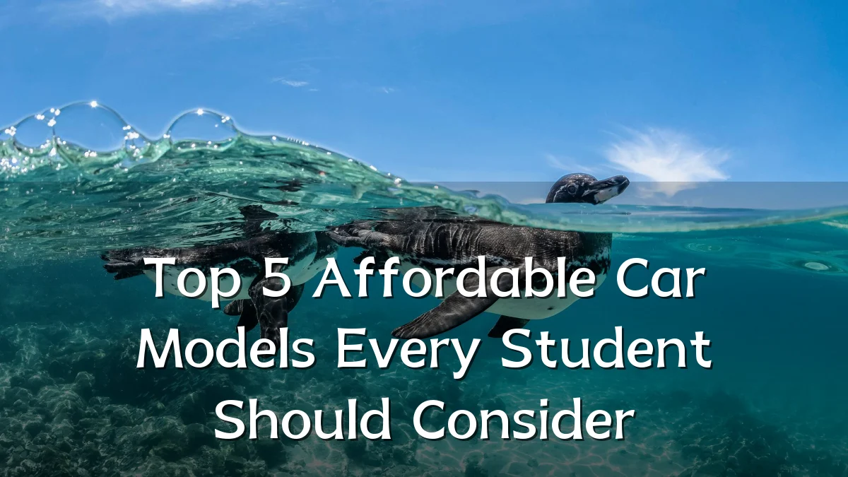 Top 5 Affordable Car Models Every Student Should Consider