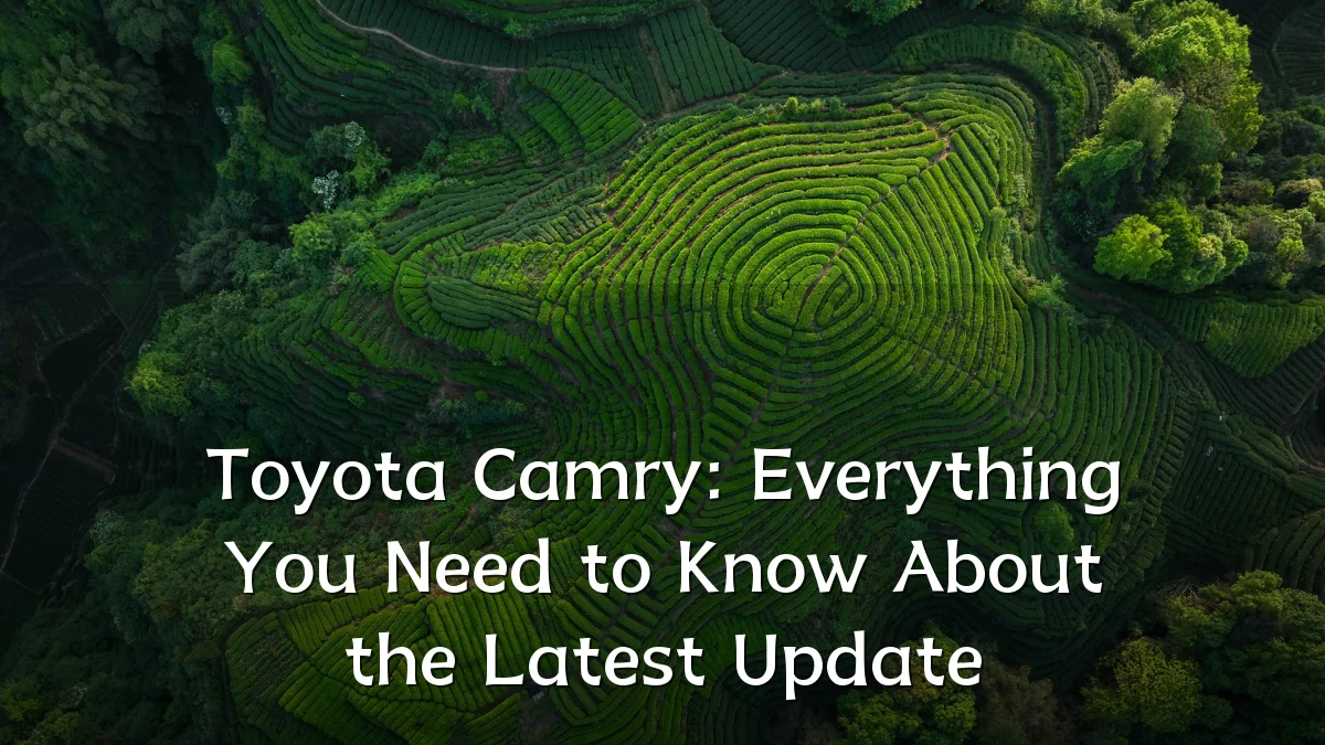 Toyota Camry: Everything You Need to Know About the Latest Update