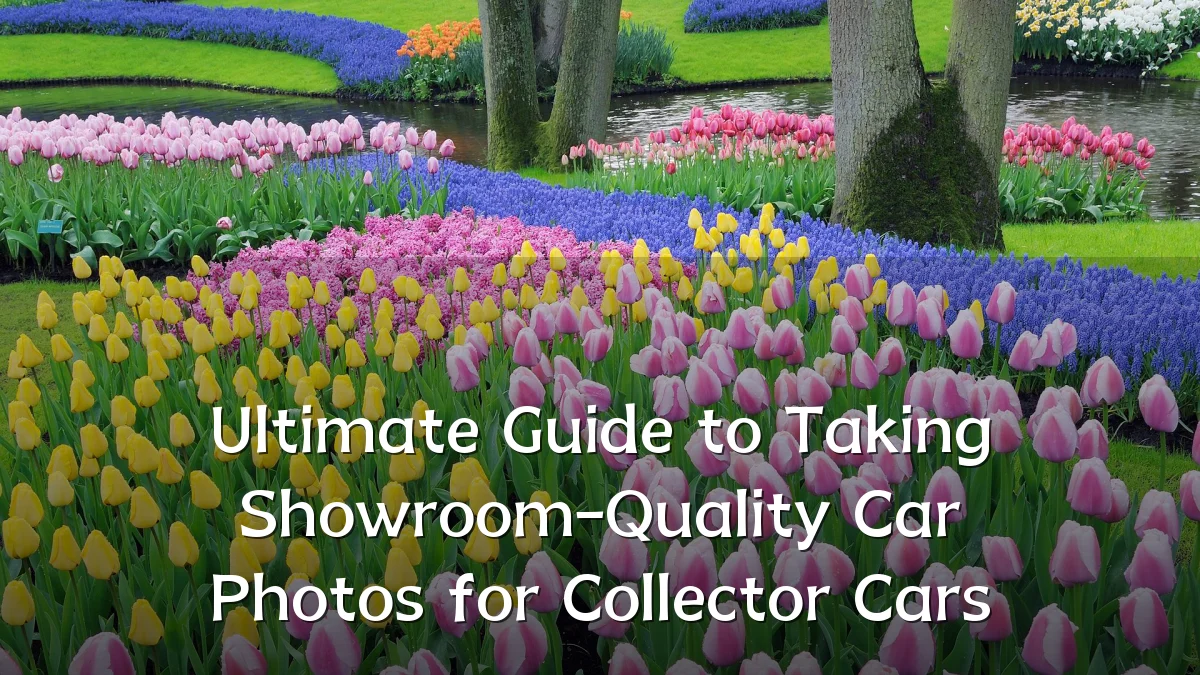 Ultimate Guide to Taking Showroom-Quality Car Photos for Collector Cars