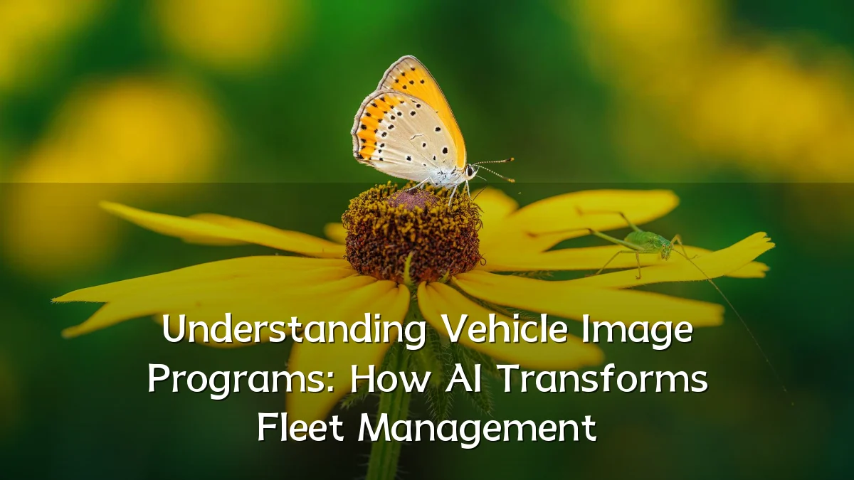Understanding Vehicle Image Programs: How AI Transforms Fleet Management