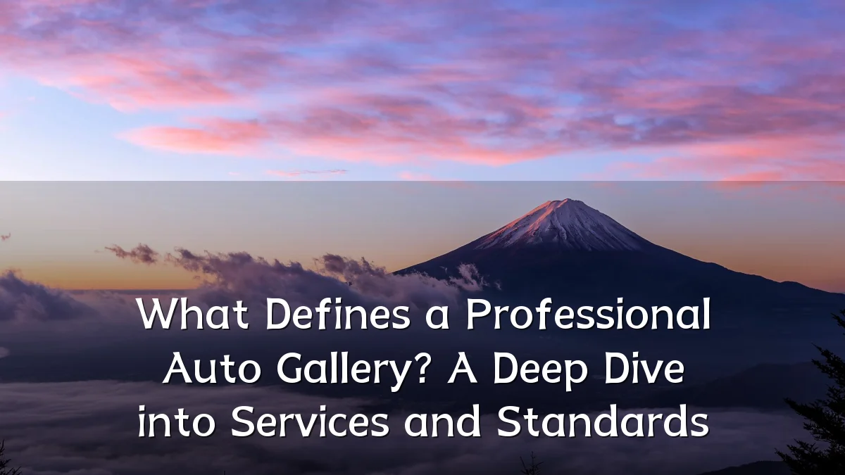 What Defines a Professional Auto Gallery? A Deep Dive into Services and Standards