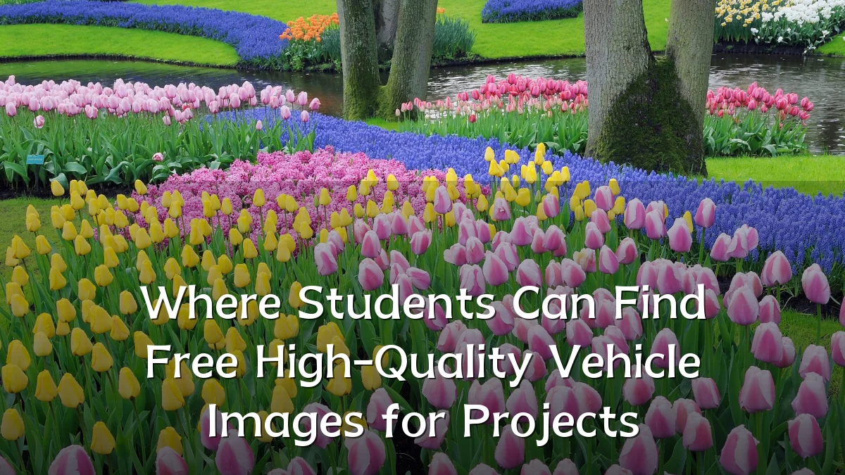 Where Students Can Find Free High-Quality Vehicle Images for Projects