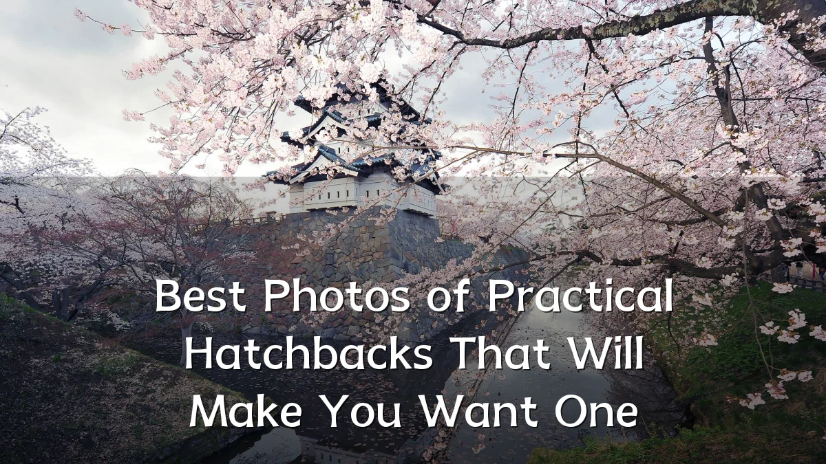 Best Photos of Practical Hatchbacks That Will Make You Want One