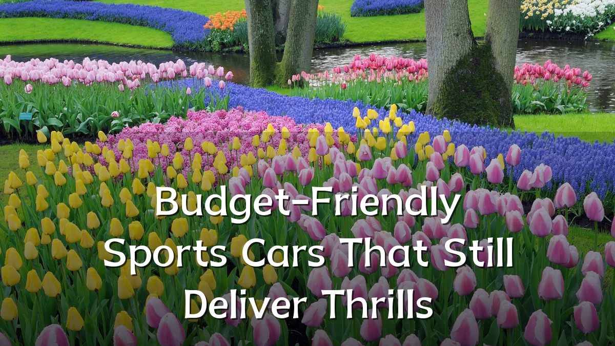 Budget-Friendly Sports Cars That Still Deliver Thrills