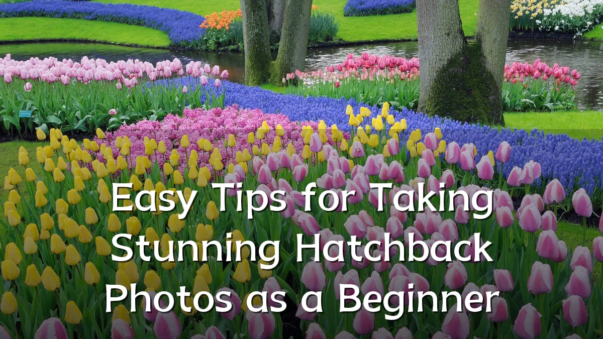 Easy Tips for Taking Stunning Hatchback Photos as a Beginner