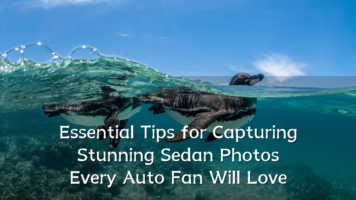 Essential Tips for Capturing Stunning Sedan Photos Every Auto Fan Will Love