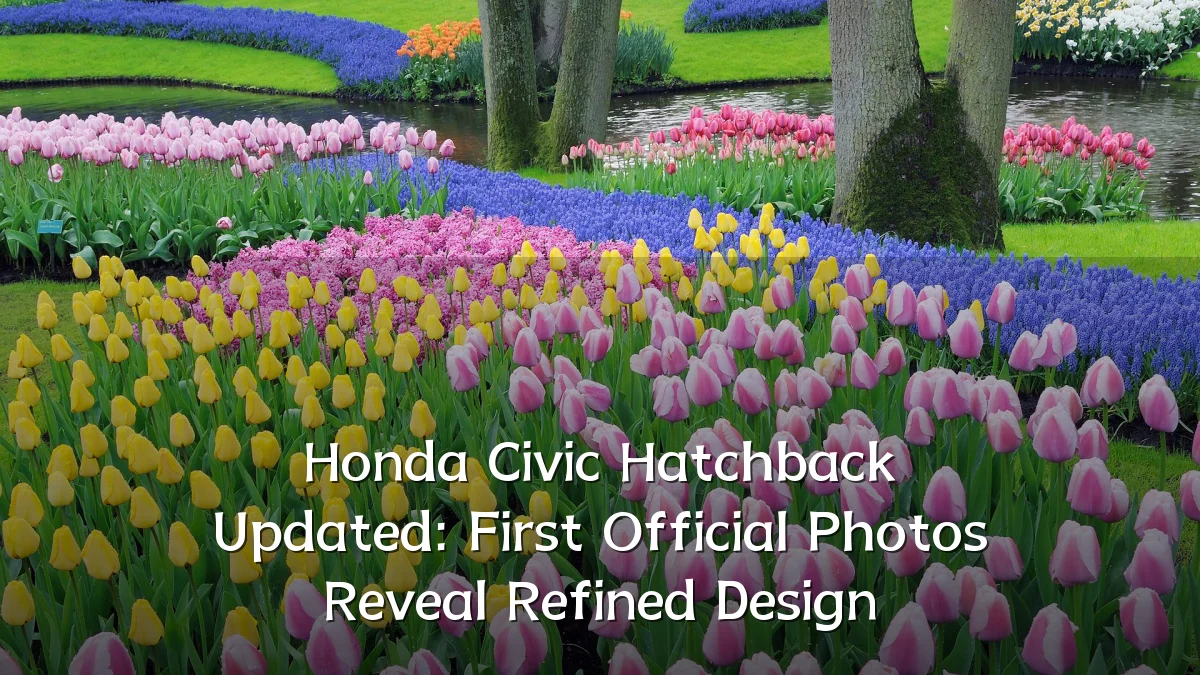 Honda Civic Hatchback Updated: First Official Photos Reveal Refined Design