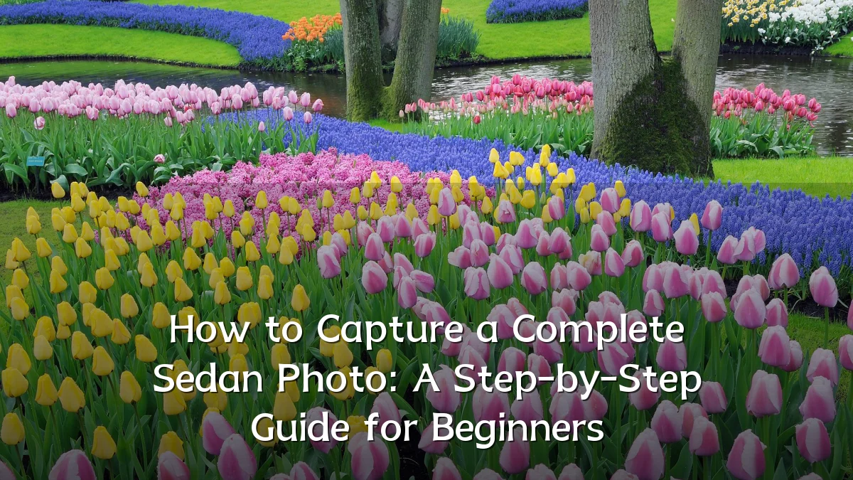 How to Capture a Complete Sedan Photo: A Step-by-Step Guide for Beginners
