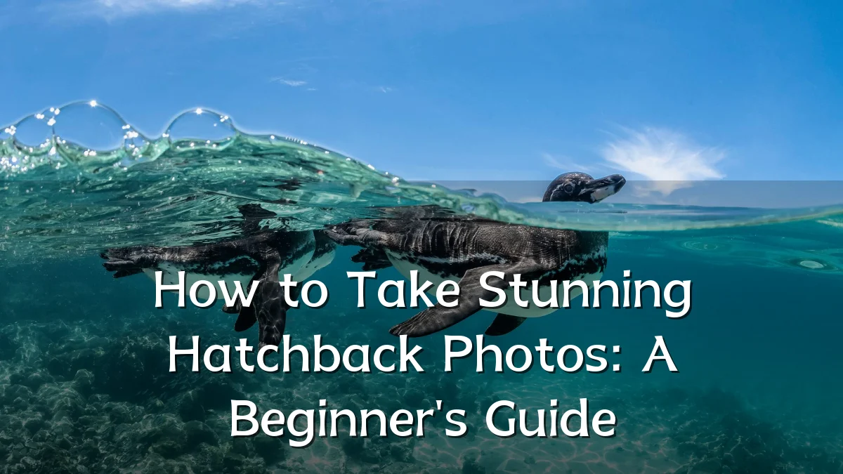 How to Take Stunning Hatchback Photos: A Beginner's Guide