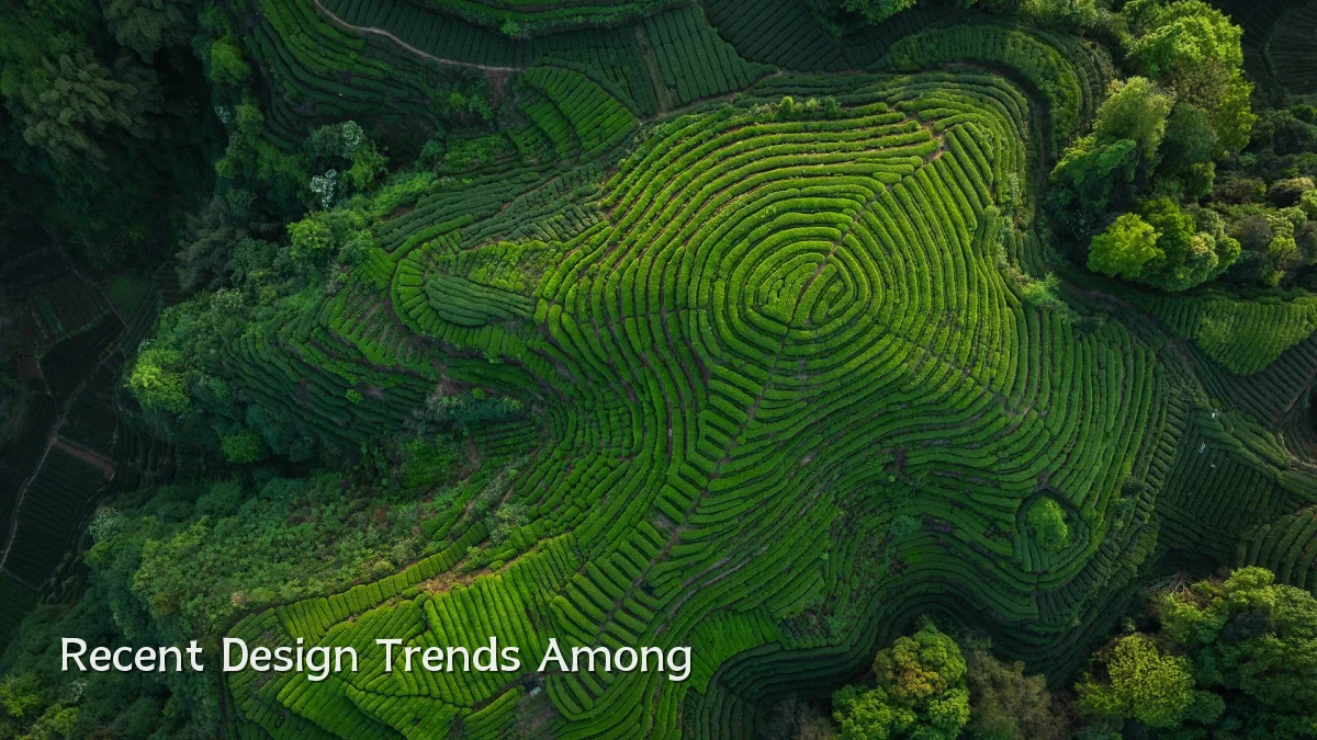 Recent Design Trends Among