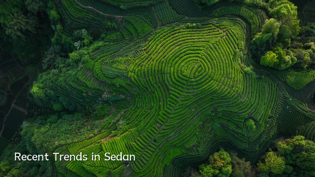 Recent Trends in Sedan