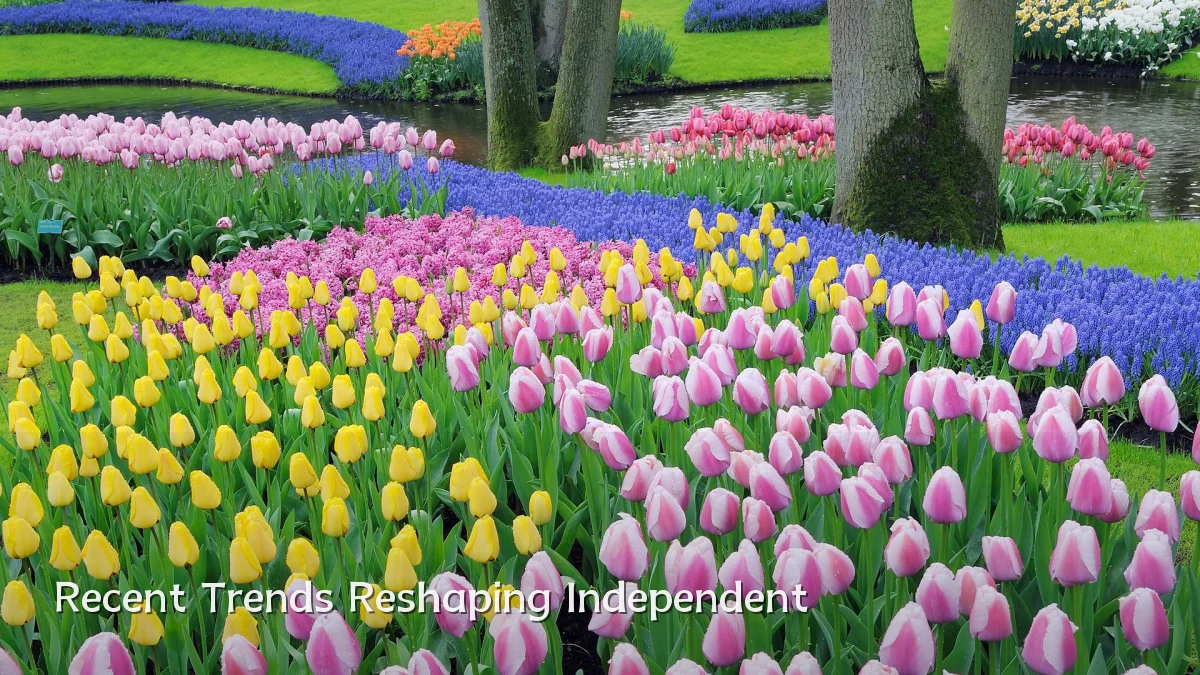 Recent Trends Reshaping Independent
