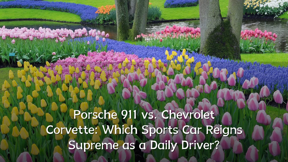 Porsche 911 vs. Chevrolet Corvette: Which Sports Car Reigns Supreme as a Daily Driver?
