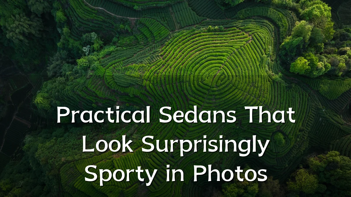Practical Sedans That Look Surprisingly Sporty in Photos