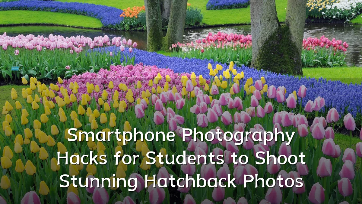 Smartphone Photography Hacks for Students to Shoot Stunning Hatchback Photos