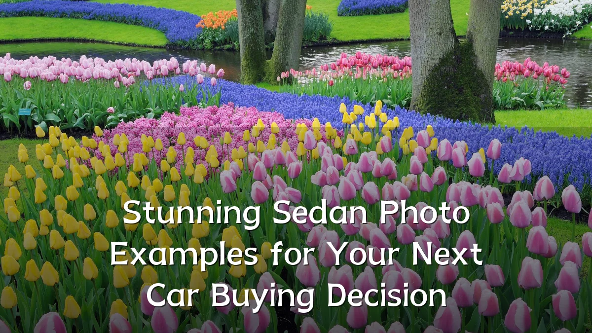 Stunning Sedan Photo Examples for Your Next Car Buying Decision