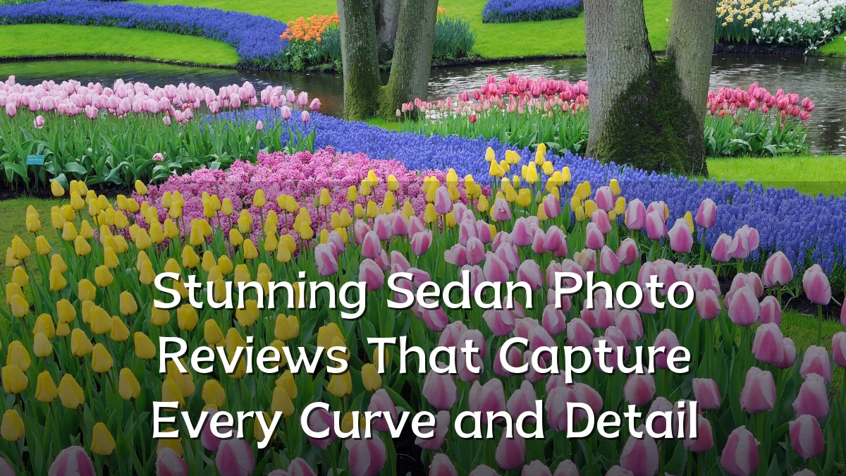 Stunning Sedan Photo Reviews That Capture Every Curve and Detail
