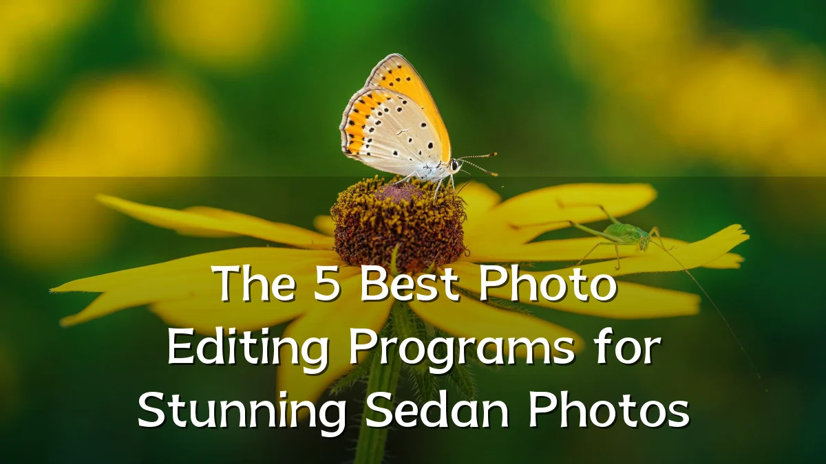 The 5 Best Photo Editing Programs for Stunning Sedan Photos