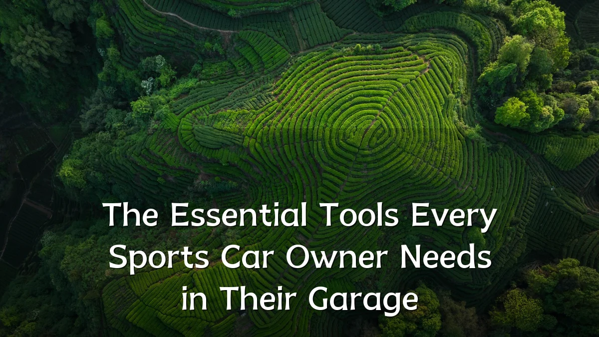 The Essential Tools Every Sports Car Owner Needs in Their Garage